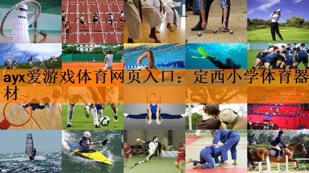 ayx爱游戏体育网页入口：定西小学体育器材