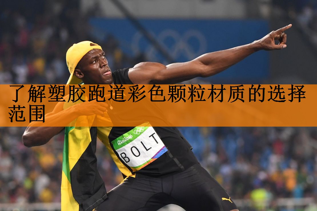 了解塑胶跑道彩色颗粒材质的选择范围
