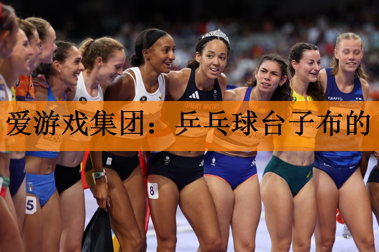乒乓球台子布的