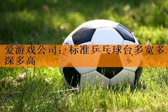 标准乒乓球台多宽多深多高