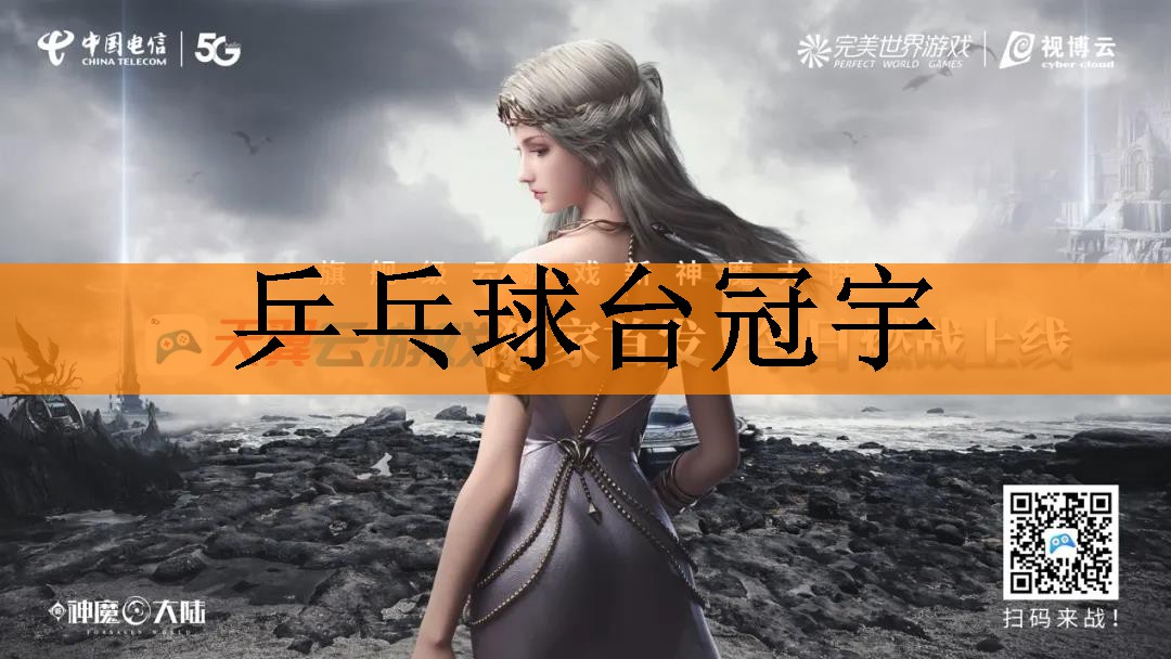 乒乓球台冠宇