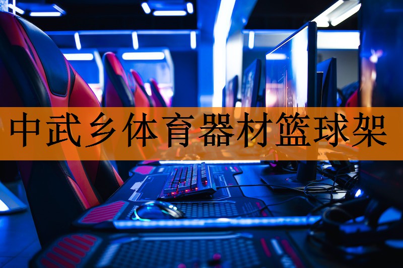 中武乡体育器材篮球架