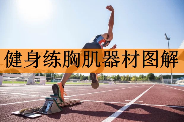 健身练胸肌器材图解