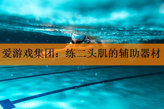 练二头肌的辅助器材