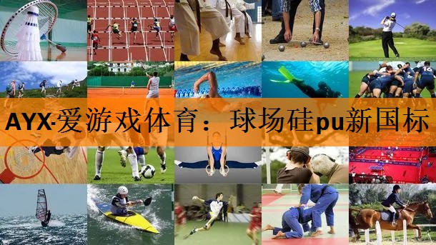 球场硅pu新国标