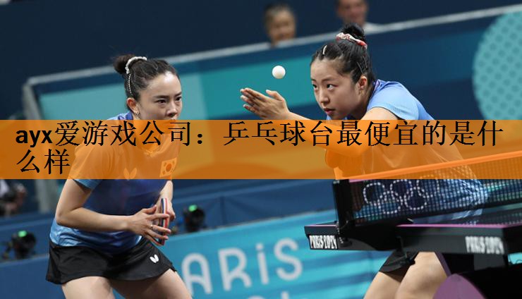 乒乓球台最便宜的是什么样