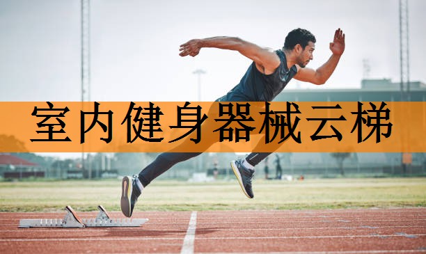 室内健身器械云梯