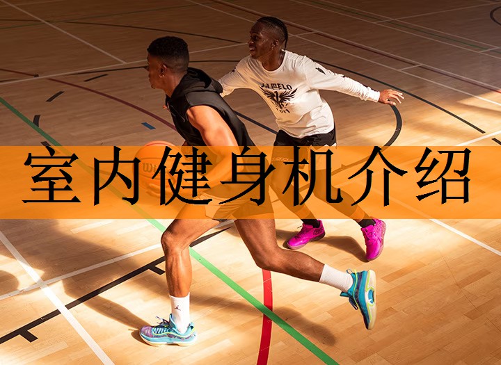室内健身机介绍