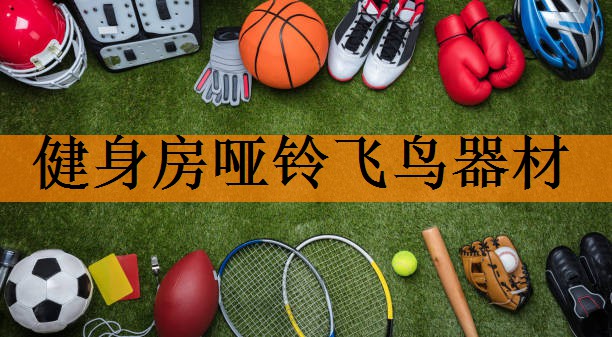 健身房哑铃飞鸟器材
