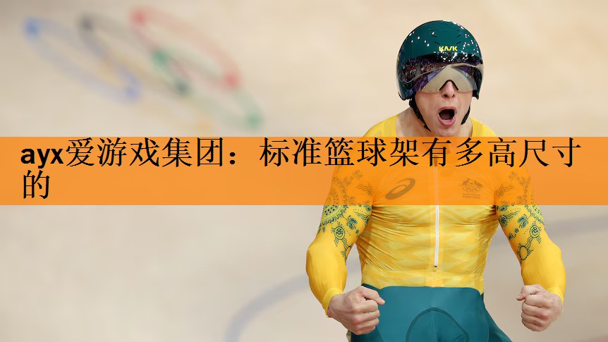 标准篮球架有多高尺寸的