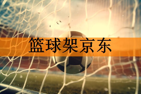 篮球架京东