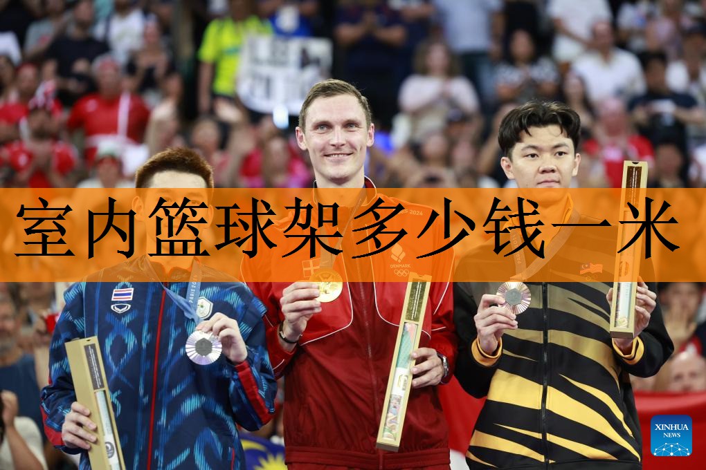 室内篮球架多少钱一米