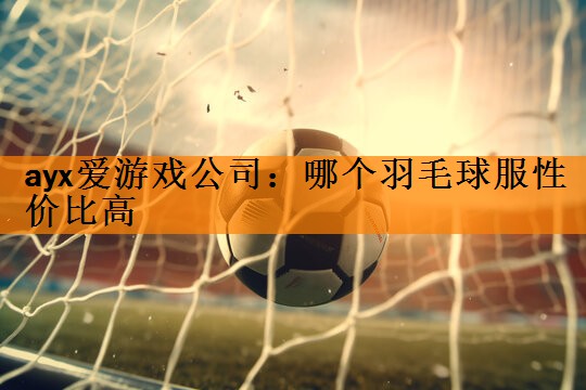 哪个羽毛球服性价比高