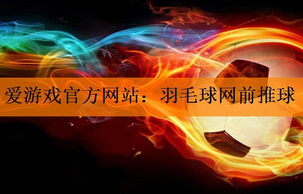 羽毛球网前推球