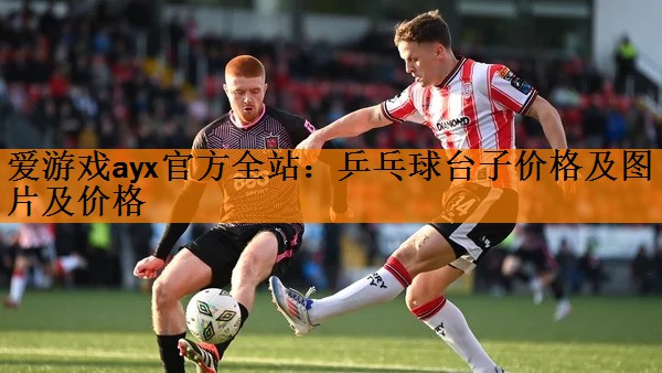 乒乓球台子价格及图片及价格