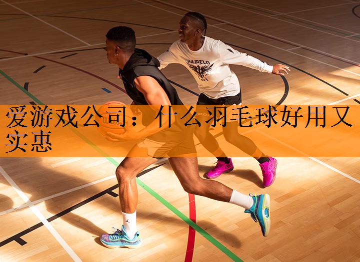 什么羽毛球好用又实惠