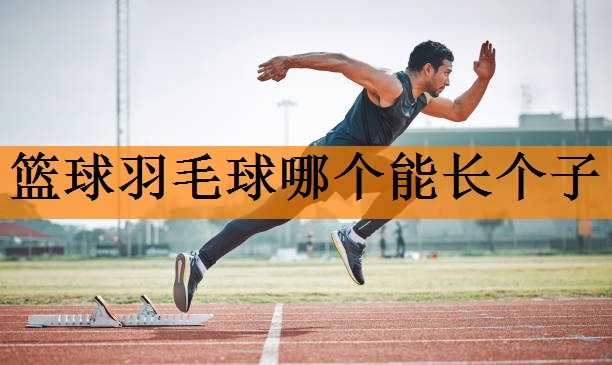 篮球羽毛球哪个能长个子
