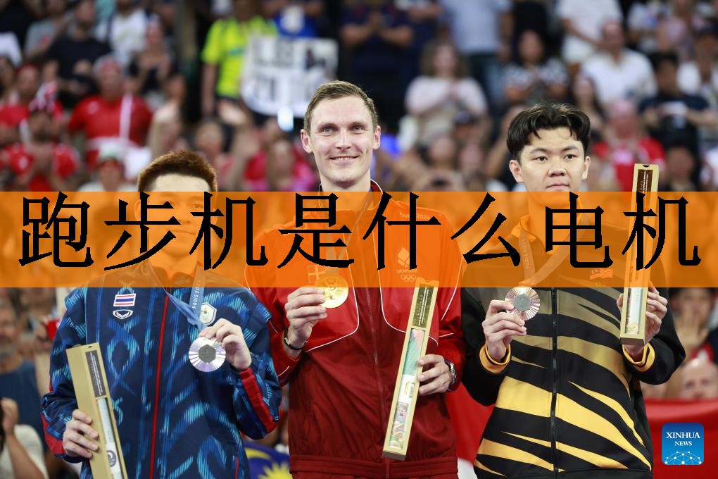 跑步机是什么电机