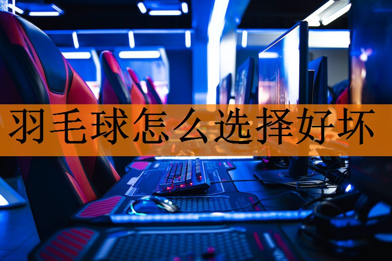 羽毛球怎么选择好坏