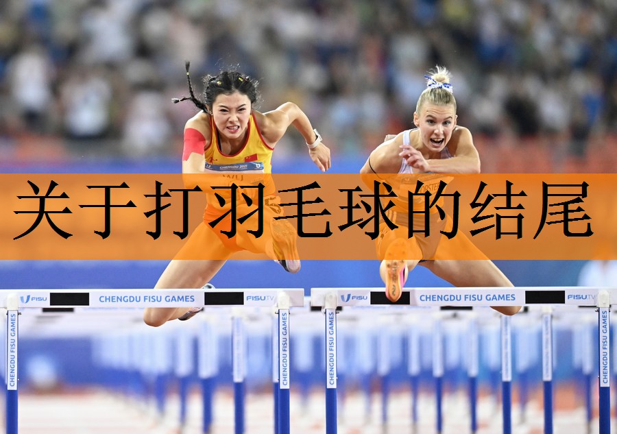 关于打羽毛球的结尾