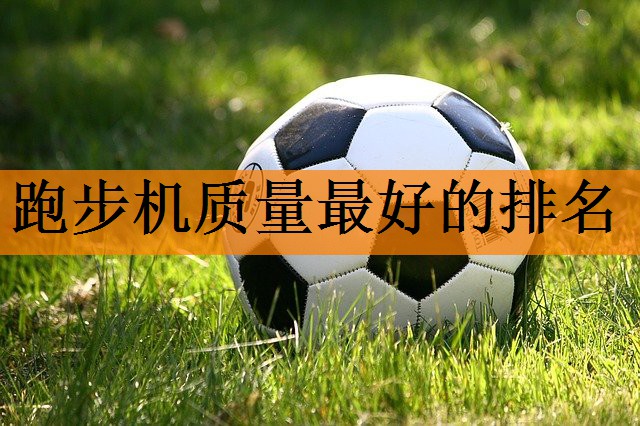 跑步机质量最好的排名
