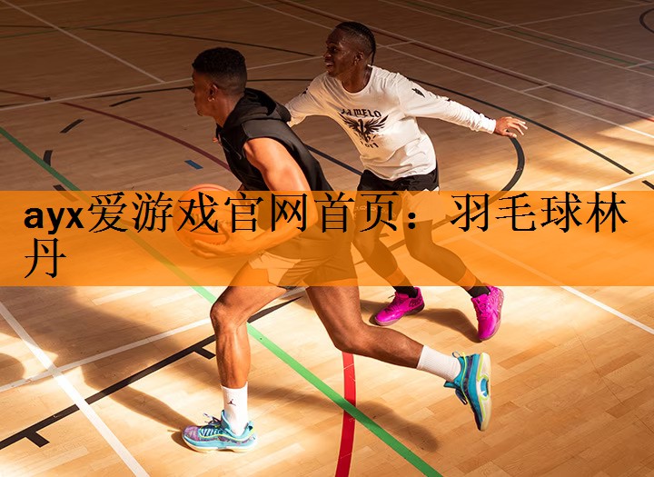 羽毛球林丹