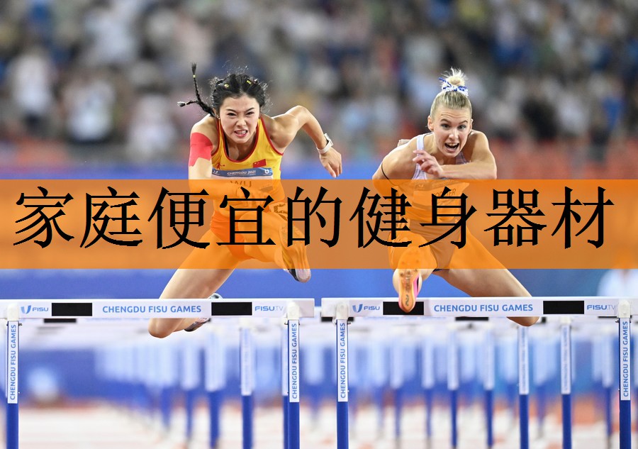 家庭便宜的健身器材