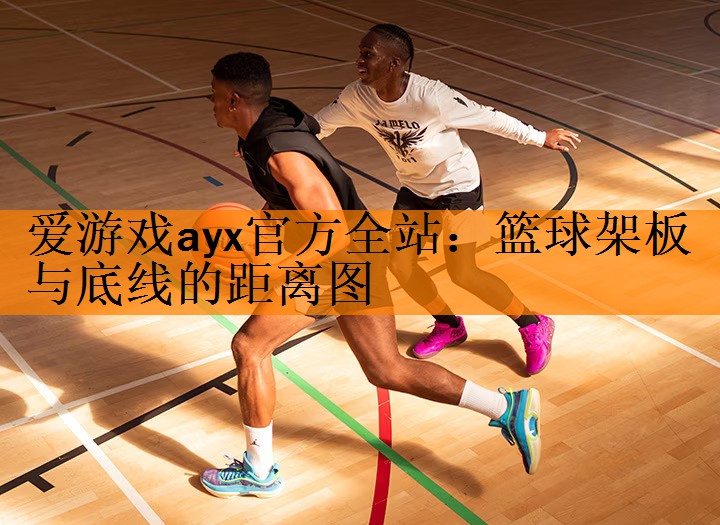 篮球架板与底线的距离图