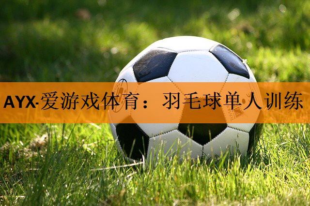 羽毛球单人训练