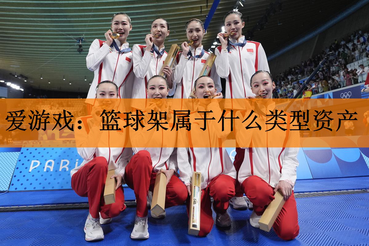 篮球架属于什么类型资产