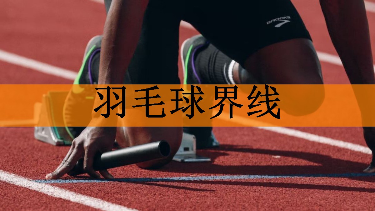 羽毛球界线