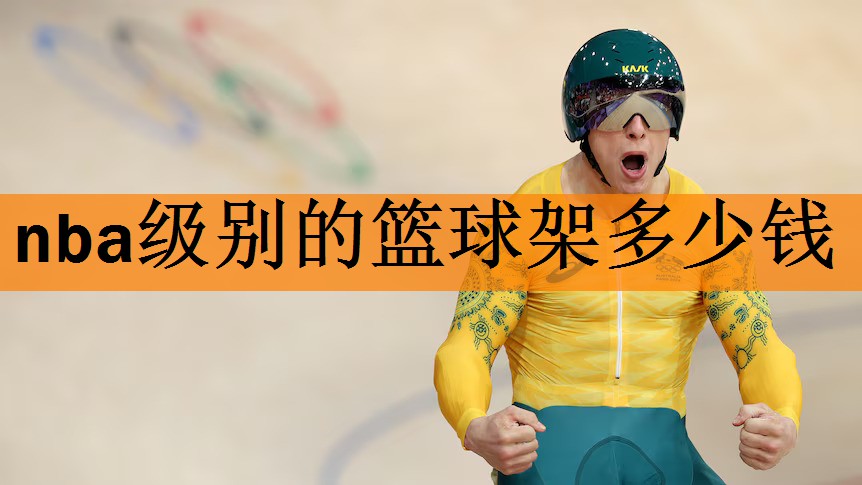 nba级别的篮球架多少钱