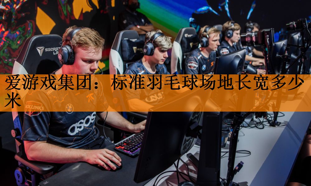 标准羽毛球场地长宽多少米