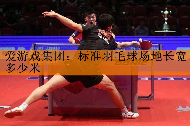 标准羽毛球场地长宽多少米