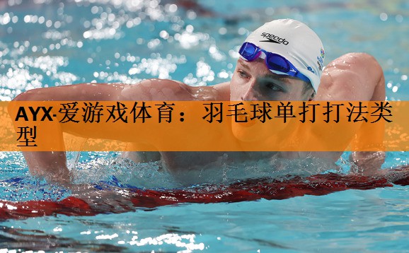 羽毛球单打打法类型