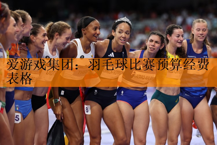 羽毛球比赛预算经费表格