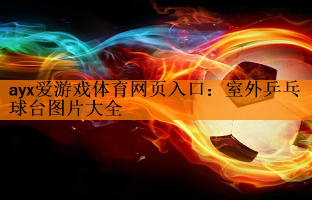室外乒乓球台图片大全