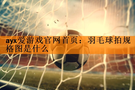羽毛球拍规格图是什么