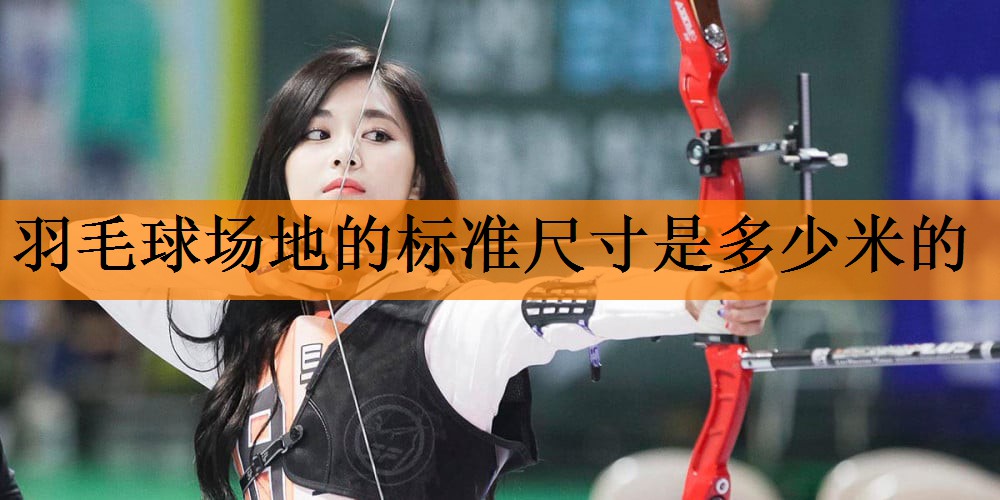 羽毛球场地的标准尺寸是多少米的