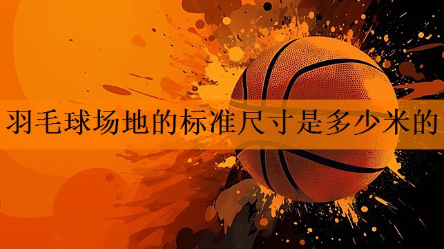 羽毛球场地的标准尺寸是多少米的