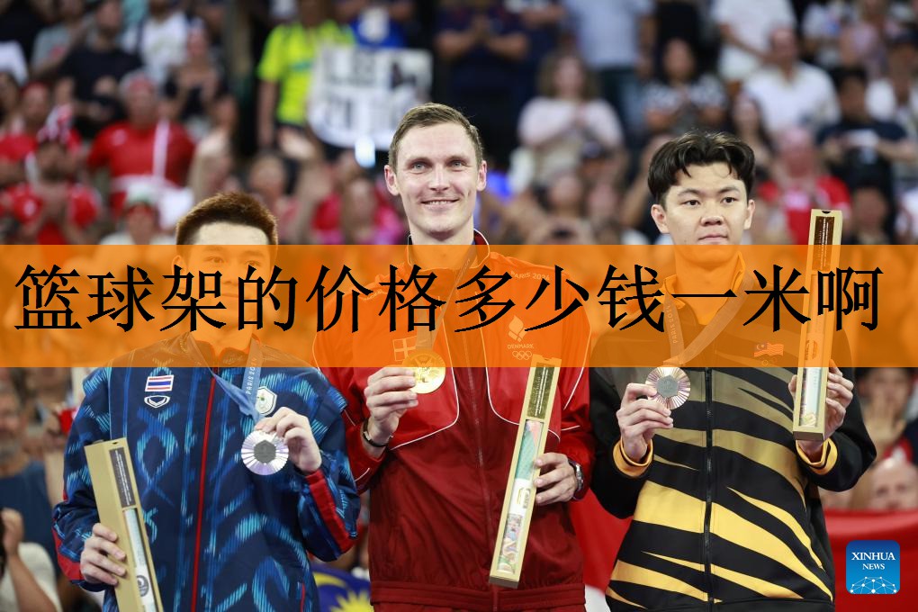 篮球架的价格多少钱一米啊