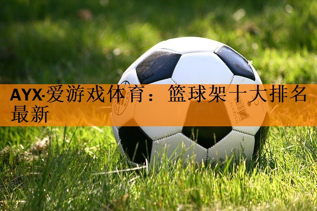 篮球架十大排名最新
