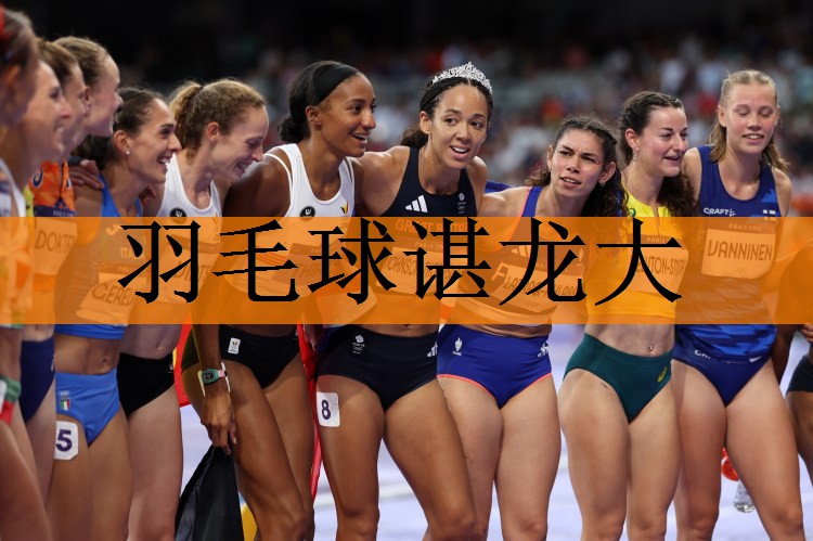羽毛球谌龙大